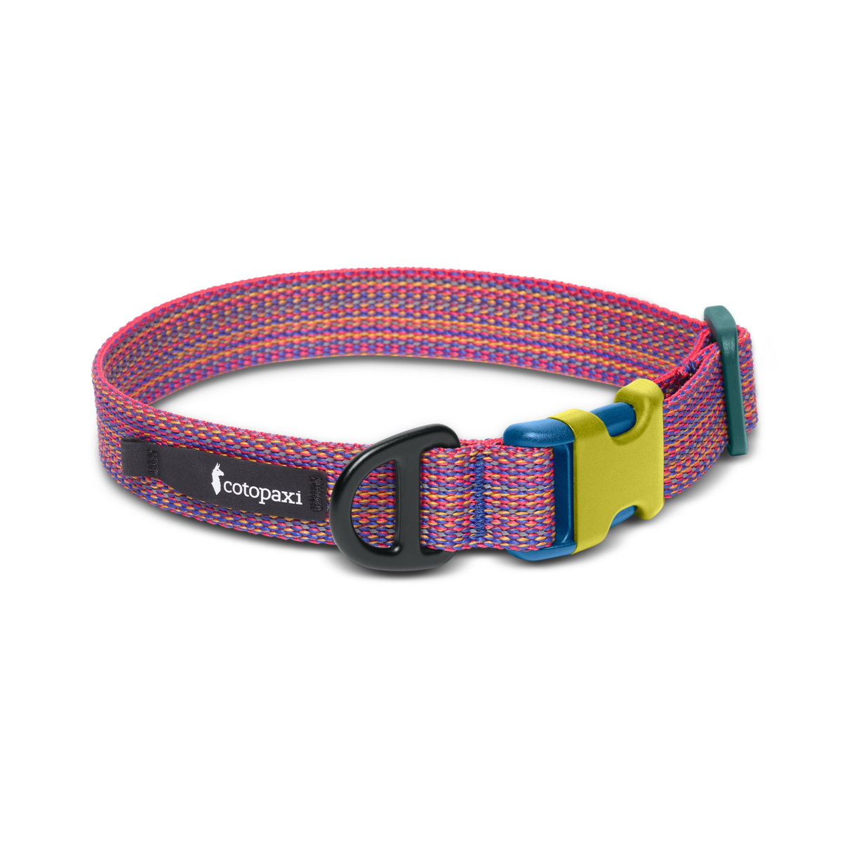 Del Día Dog Collar